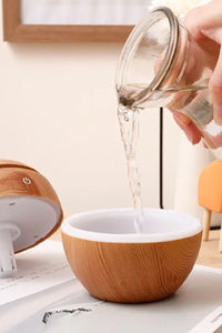 Misty Ultrasonic Humidifier/Aroma Diffuser